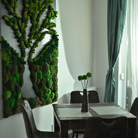 Mirvana Apartments Metheor Executive Suite Temeşvar Dış mekan fotoğraf