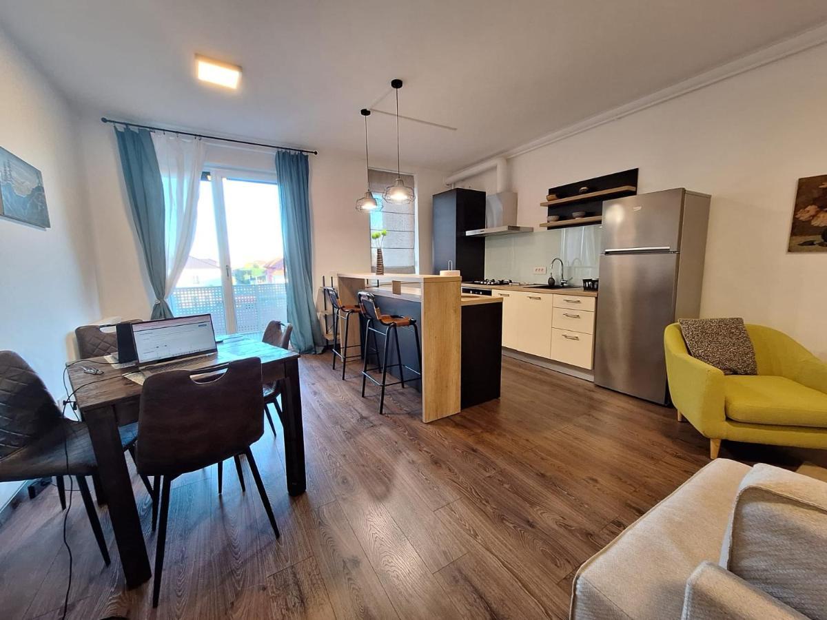 Mirvana Apartments Metheor Executive Suite Temeşvar Dış mekan fotoğraf