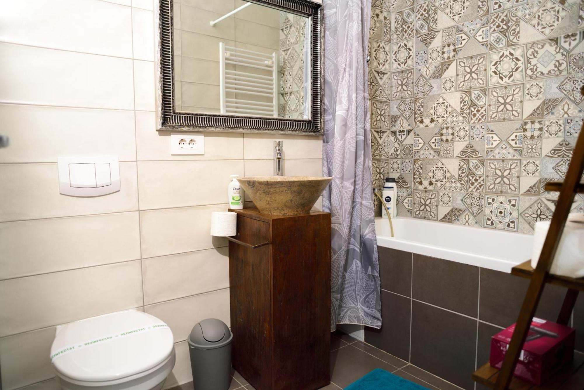 Mirvana Apartments Metheor Executive Suite Temeşvar Dış mekan fotoğraf