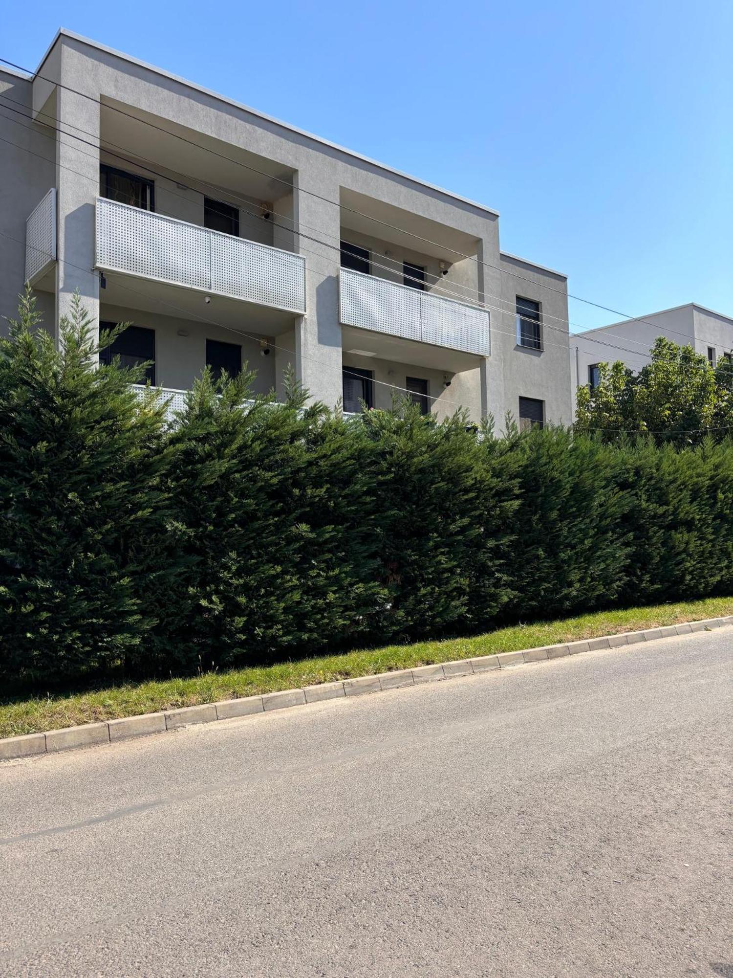 Mirvana Apartments Metheor Executive Suite Temeşvar Dış mekan fotoğraf
